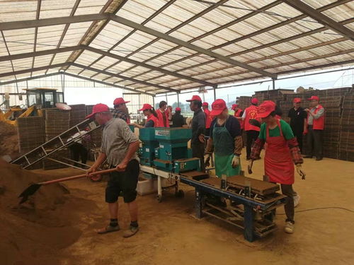 我縣舉辦水稻工廠化育秧技術(shù)觀摩活動